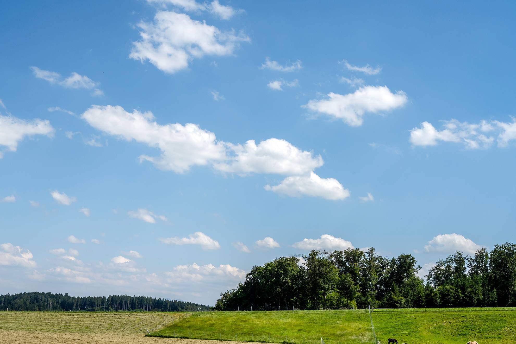 Panorama auf das Chiemgau bei schönem Wetter