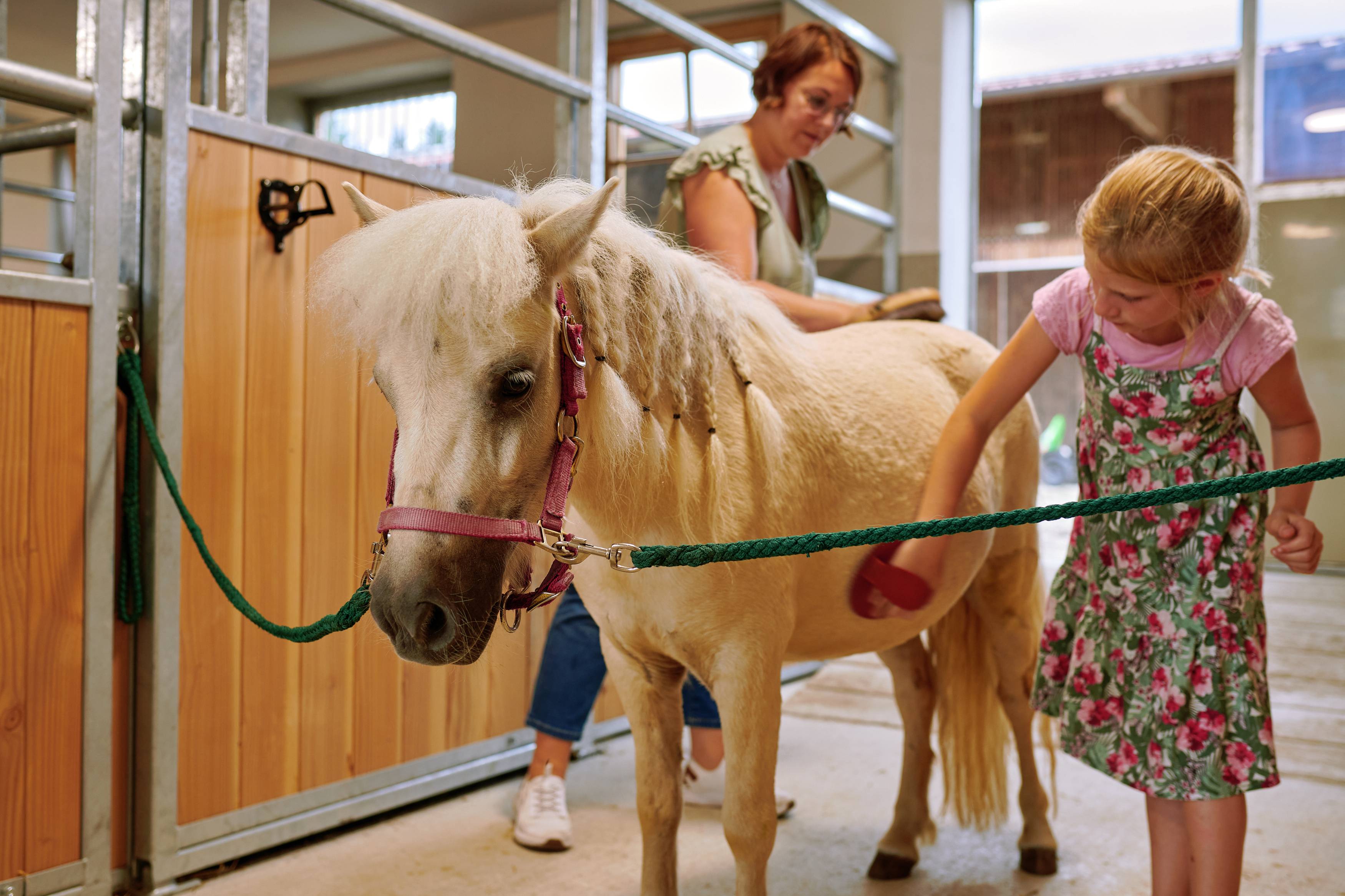 Mädchen putzt ein Pony im Stall