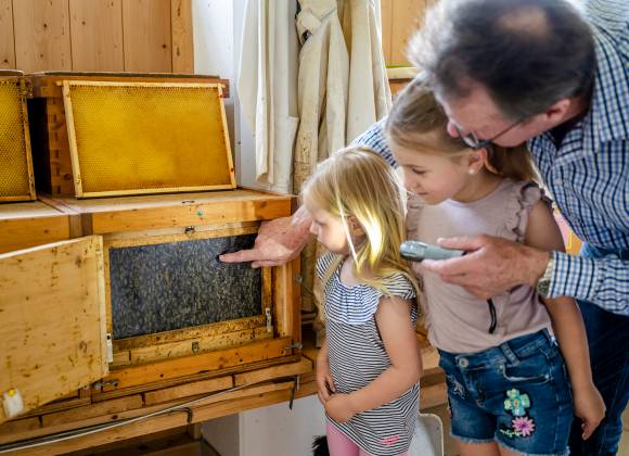 Imker zeigt Kinder wo der Honig herkommt