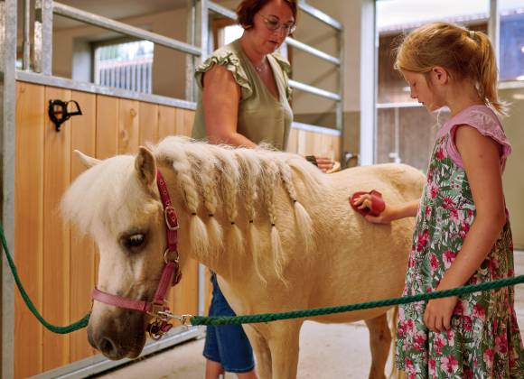 Mädchen putzt Pony
