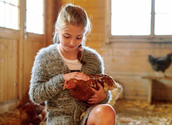 Mädchen streichelt ein Huhn