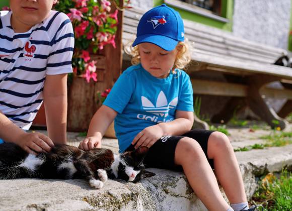 Kinder streicheln eine Katze