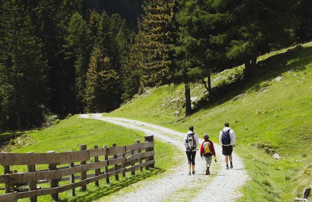 Mehr zur Natur im Chiemgau