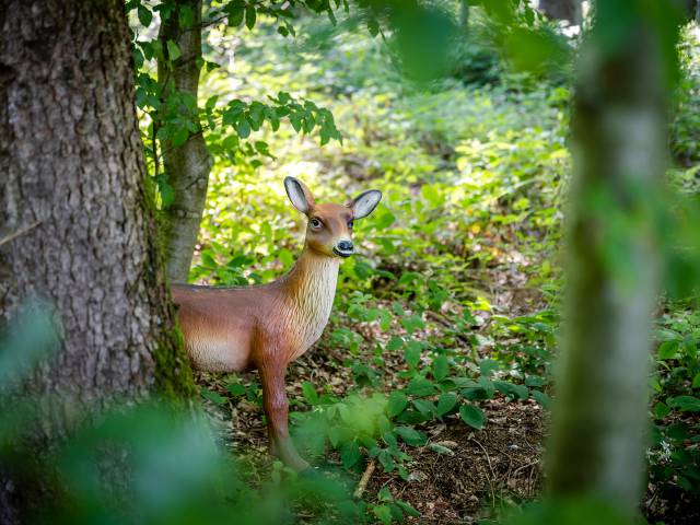 Rehattrappe im Wald