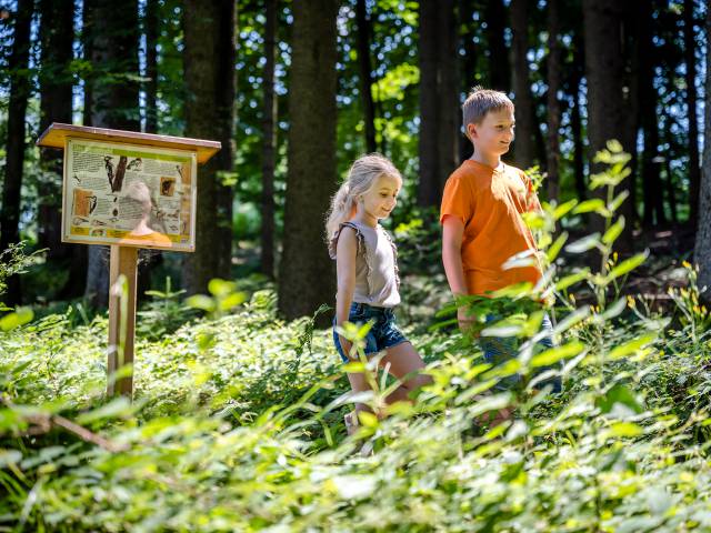 Kinder im Wald beim Erlebnispfad