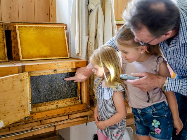 Imker zeigt Kinder wo der Honig herkommt