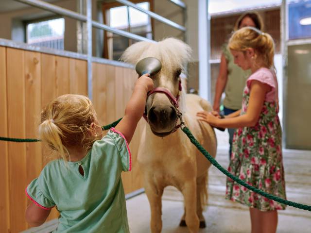 Zwei Kinder putzen ein Pony