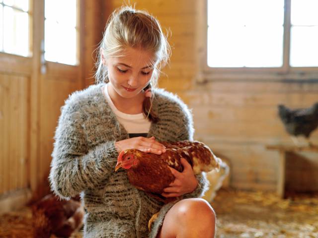 Mädchen streichelt ein Huhn