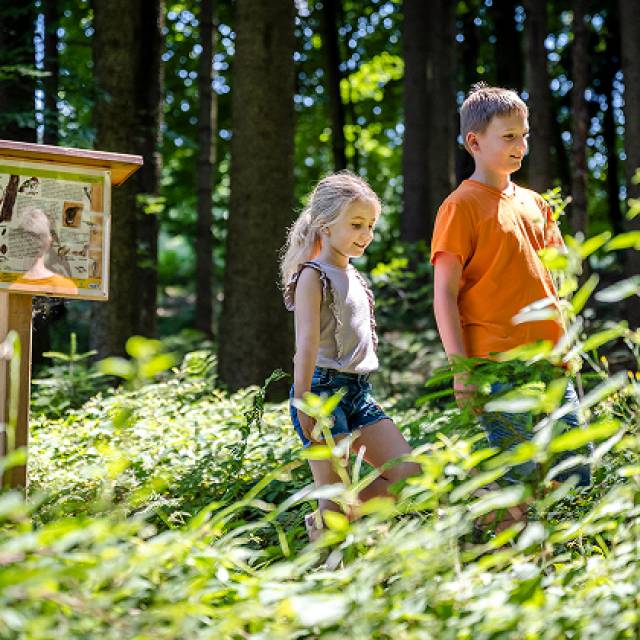 Mehr zum Walderlebnispfad