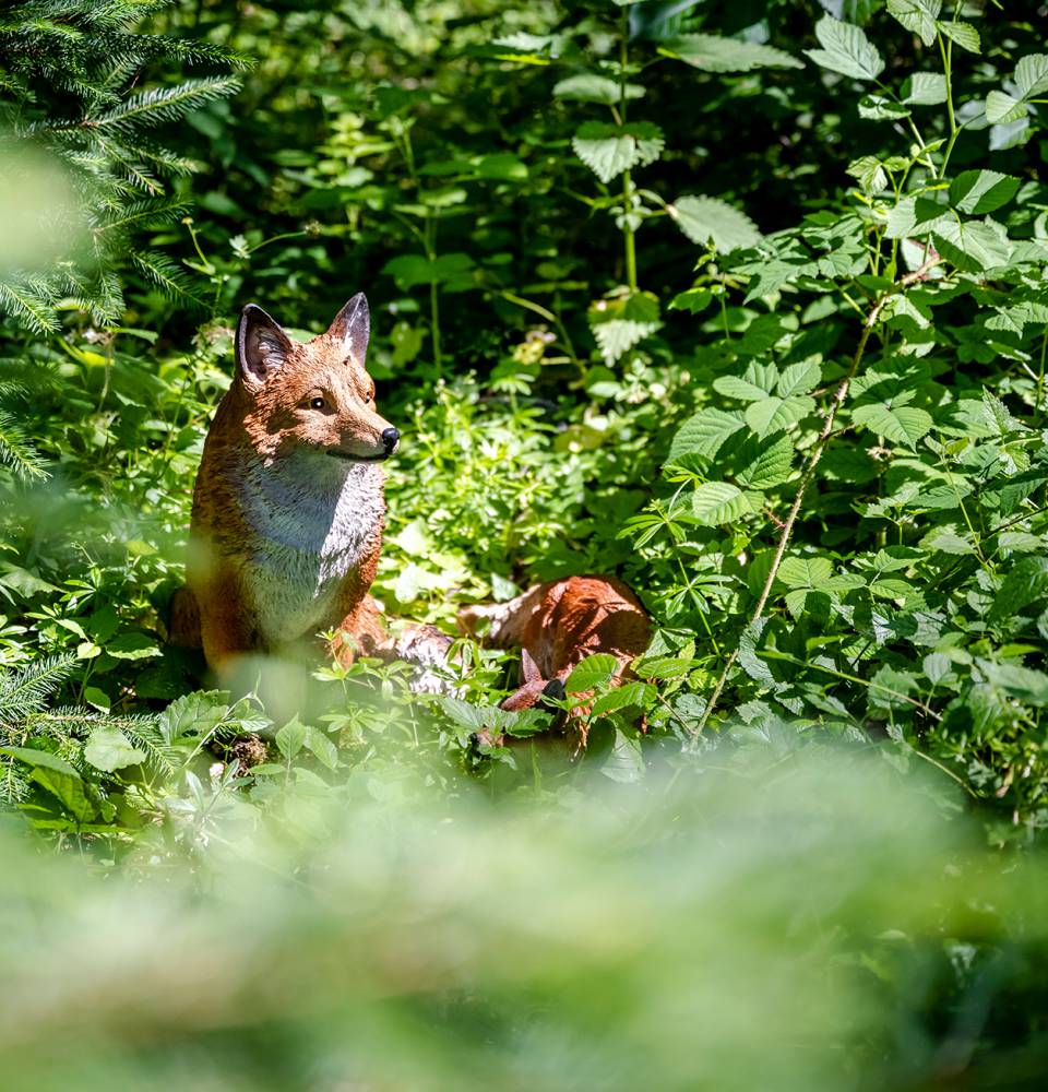 Fuchsattrappe im Wald