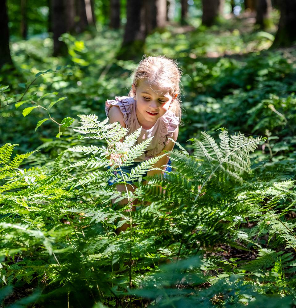 Mädchen entdeckt die Pflanzen im Wald