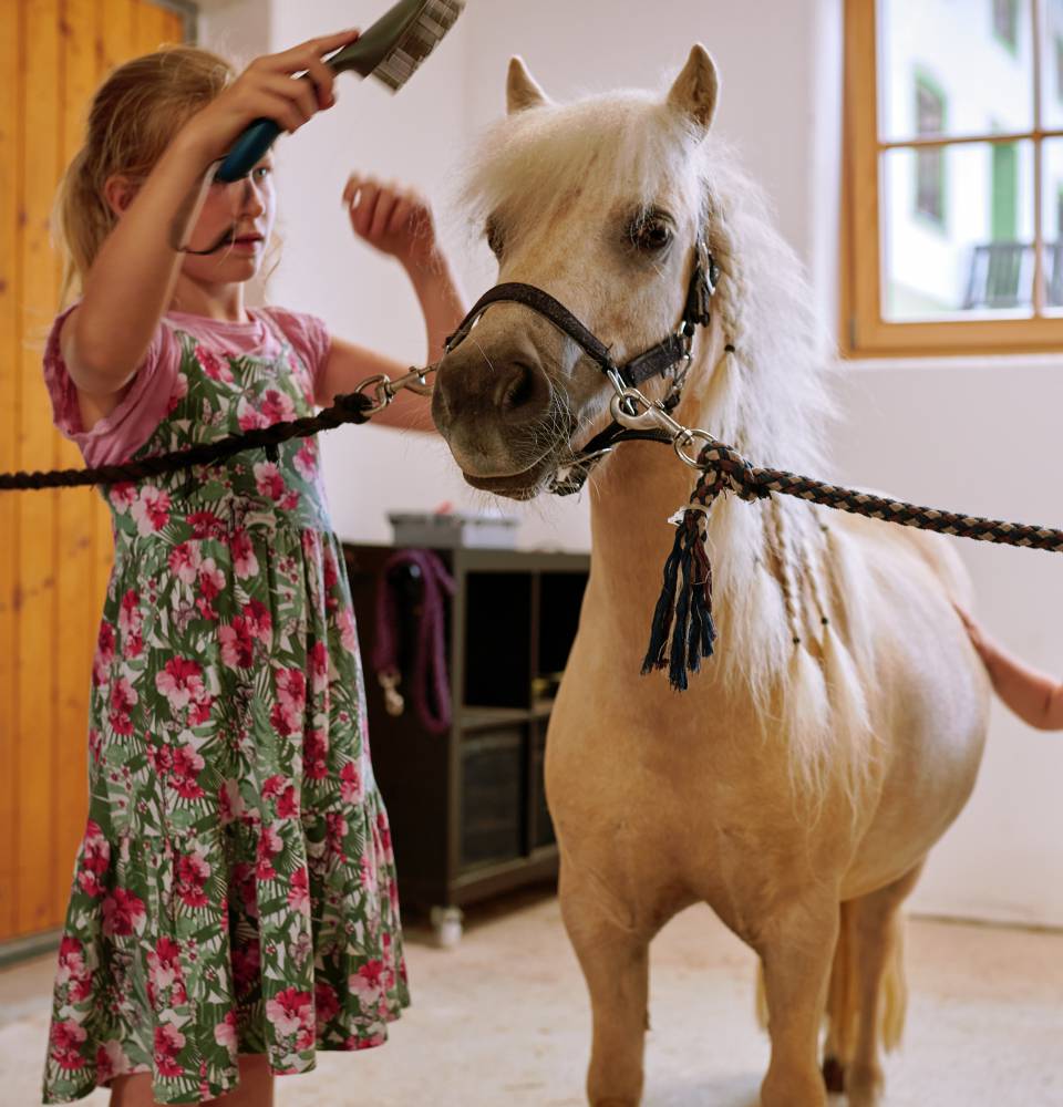 Kinder putzen ein Pony