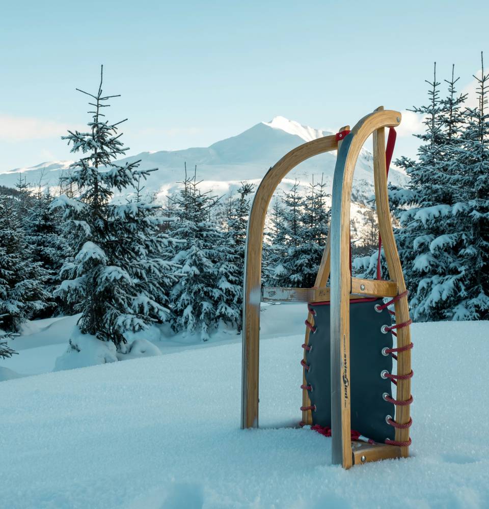 Schlitten steht im Schnee