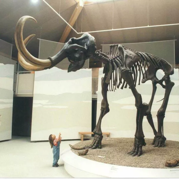 Mammutmuseum in Siegsdorf