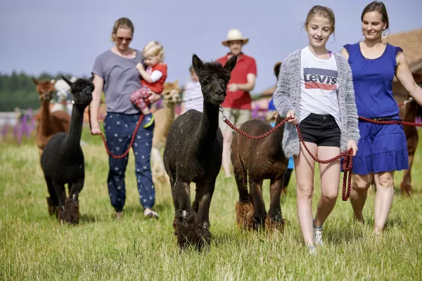 LandReise Beliebtester Ferienhof 2017 Staller Ferienhof